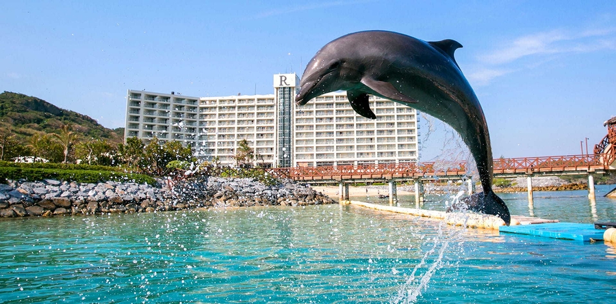 【楽パック賞2021大賞記念】イルカが暮らす南国リゾート！キッズミールフリー付き！